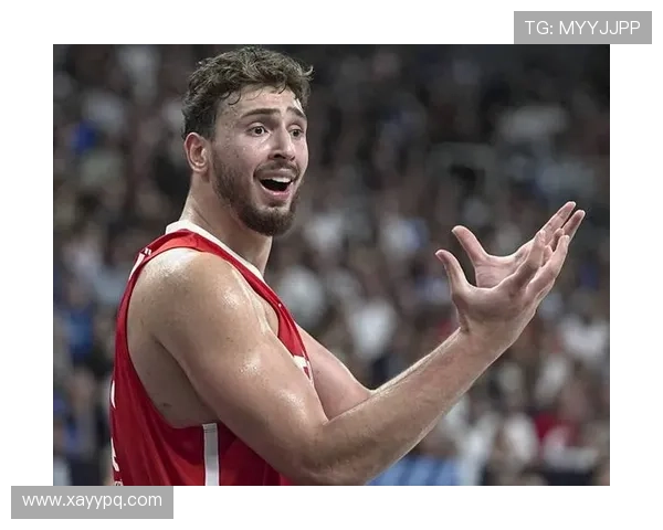 申京准绝杀全能表现为KD减压 申京准绝杀全能表现为KD减压